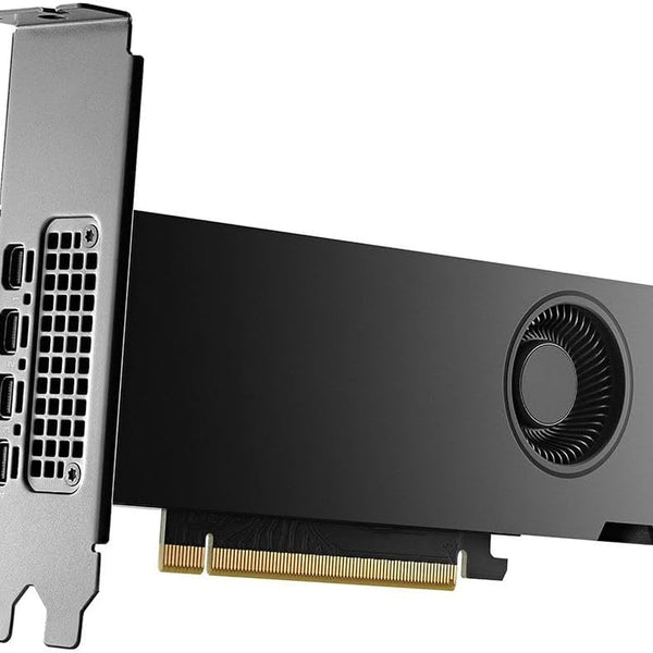 NVIDIA RTX 2000 Ada Generation — 16GB GDDR6 with ECC Graphics Card